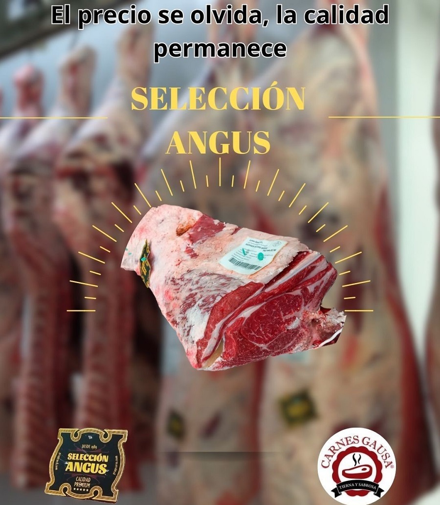 Seleccin ANGUS de CARNES GAUSA